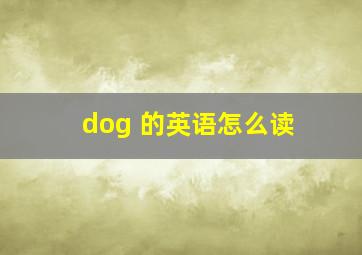 dog 的英语怎么读